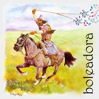 Banner for Boleadora.com - Andean music