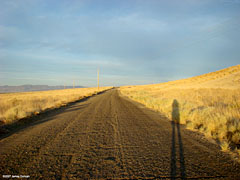 Road to Rattlesnake Hill, Fallon, NV